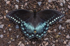 3O8A0390