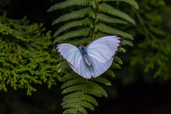 3O8A0411