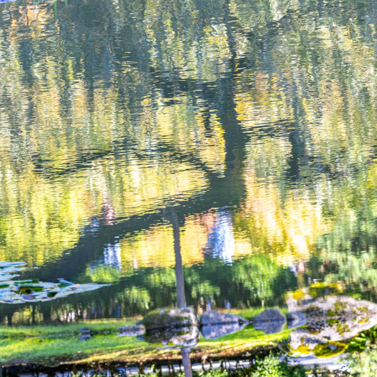 10/05/23 Seattle Japanese Garden